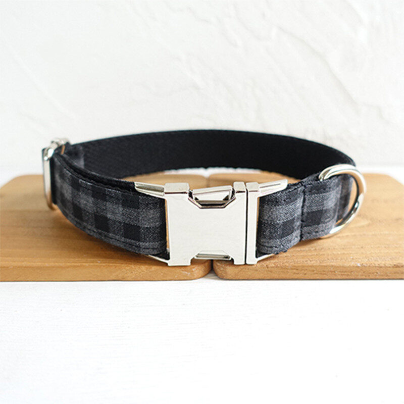 Pet leash training dog