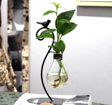 Hydroponic Plant Vessel Indoor Green Plants Glass Planter