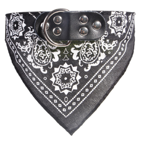 Pet lettering dog collar medium large neck