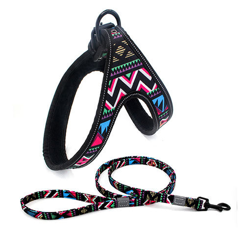Colorful Dog Leash Walking Rope Small And Medium-sized