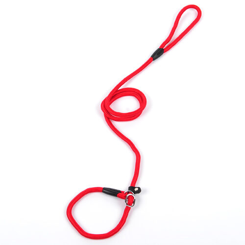 Dog leash pet