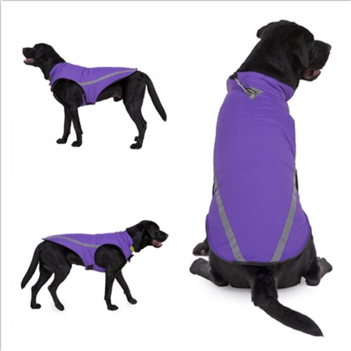 Dog clothes autumn winter coats