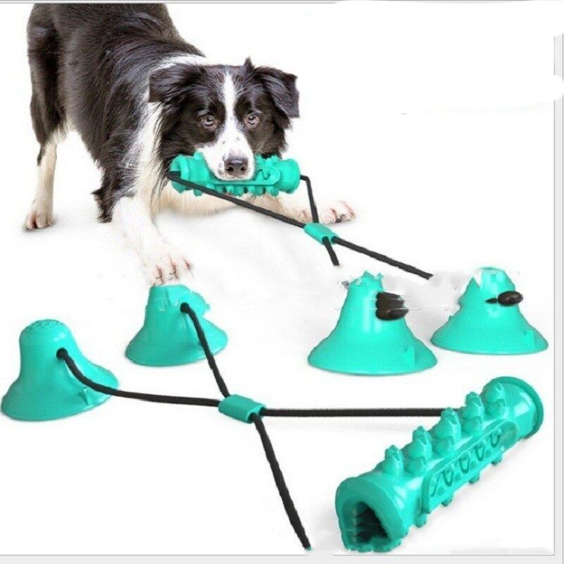 Suction Cup Molar Toy Chewing Bite Leaking