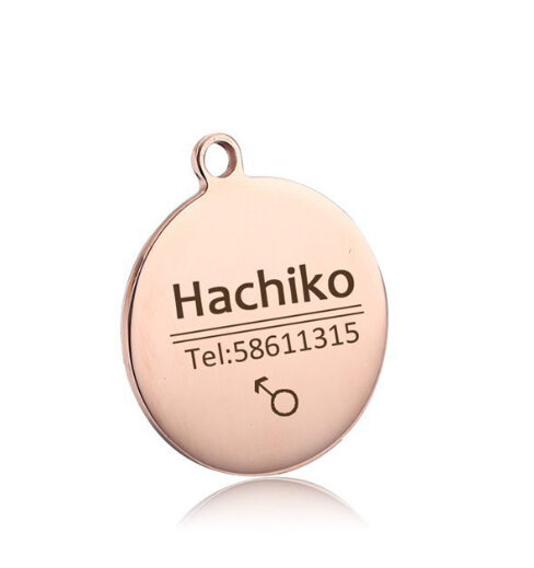 Pet Titanium Steel Tag Engrave Dog Name