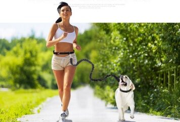 Fast selling new factory fitness belt