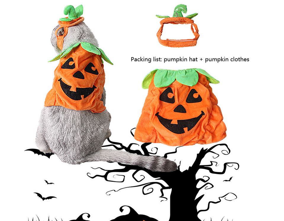 Halloween Pet Cats Costume Props Creative Pumpkin Shape