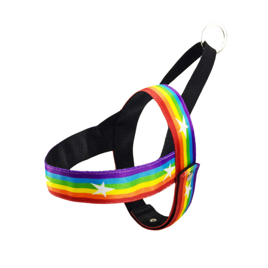 Rainbow cool dog chain leash