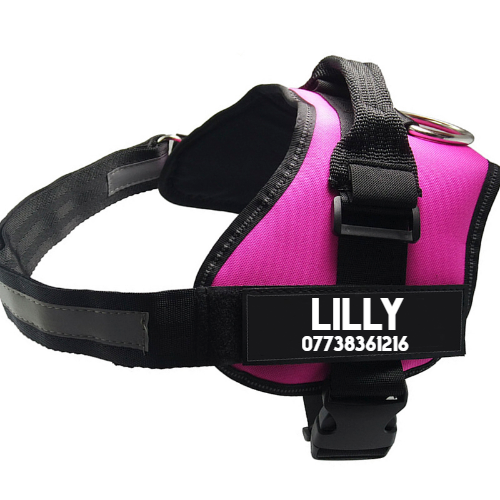 Pet Chest Harness Dog Leash Supplies