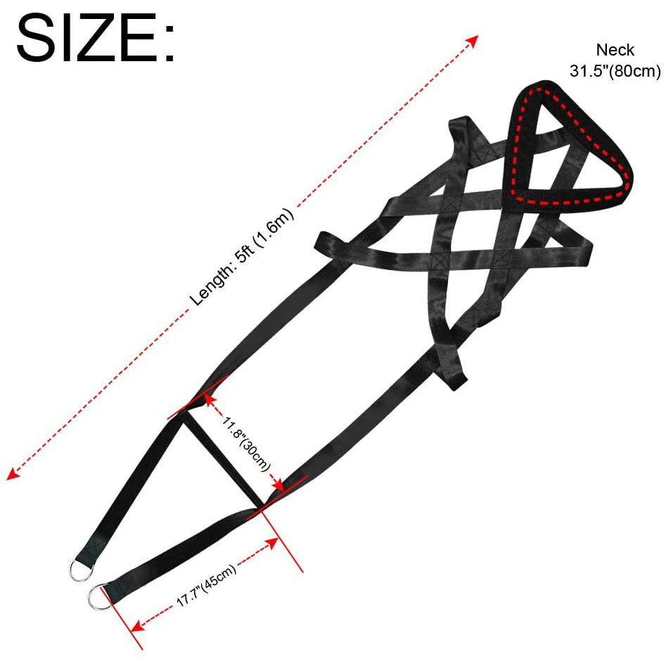 Dog training supplies Leashes Chest straps