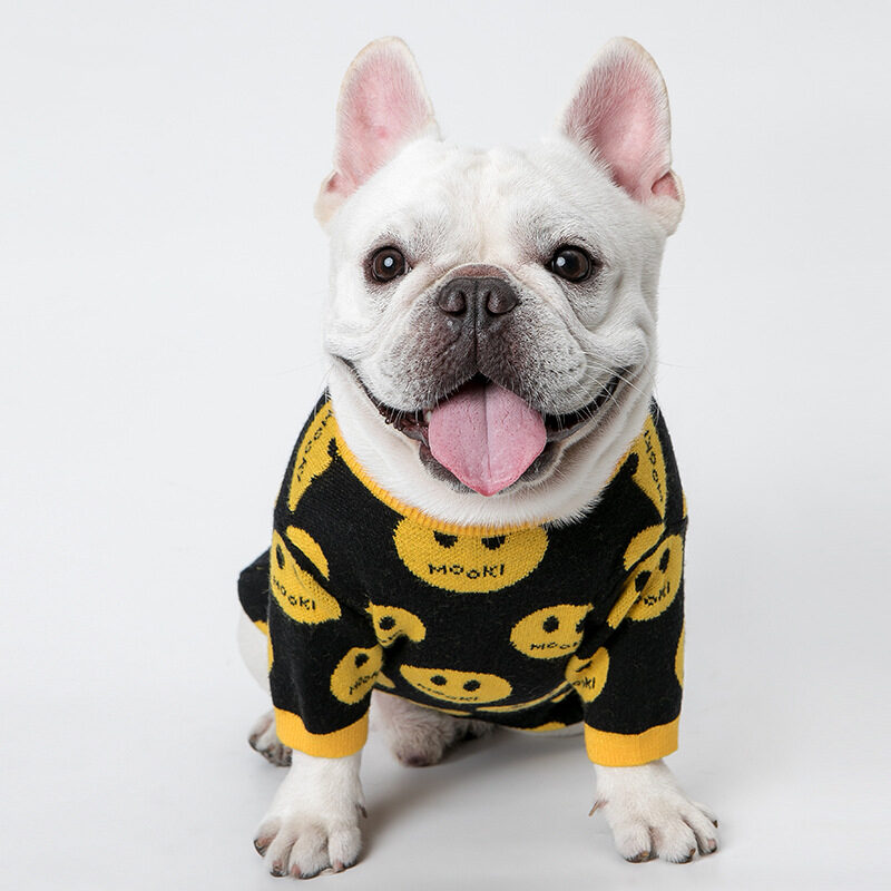 Dog clothes cat pet