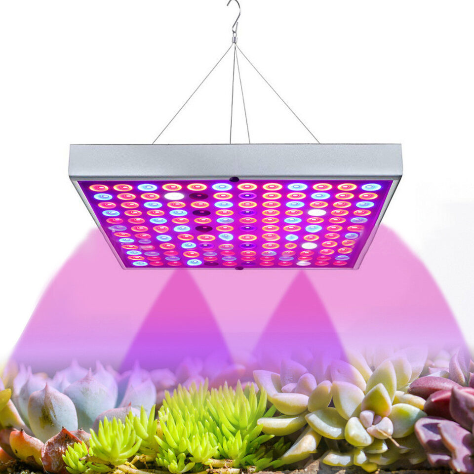 LED Plant Supplement Light For Growing Seedlings