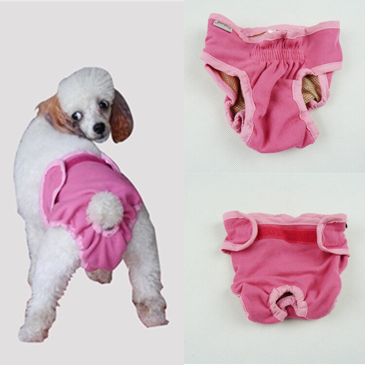medium and large dog physiological pants