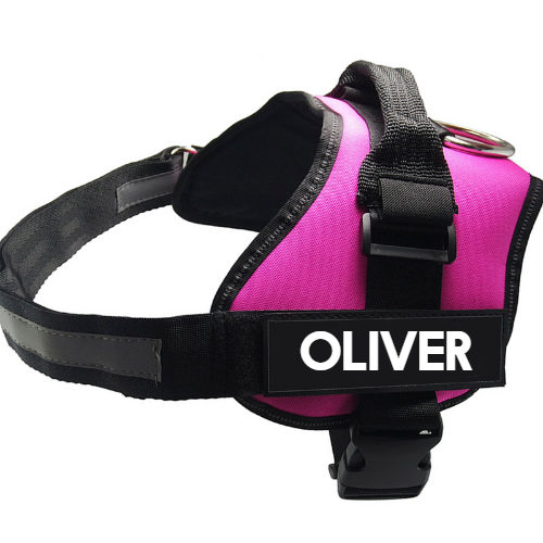 Pet Chest Harness Dog Leash Supplies