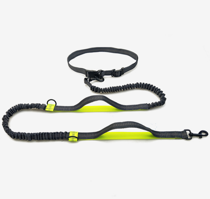 direct pet supplies multi-function running reflective pull dog
