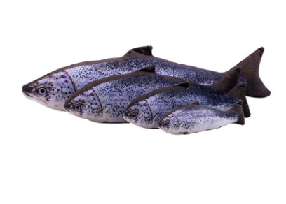 Creative Catnip Fish Pet Plush Toy Cat Pillow