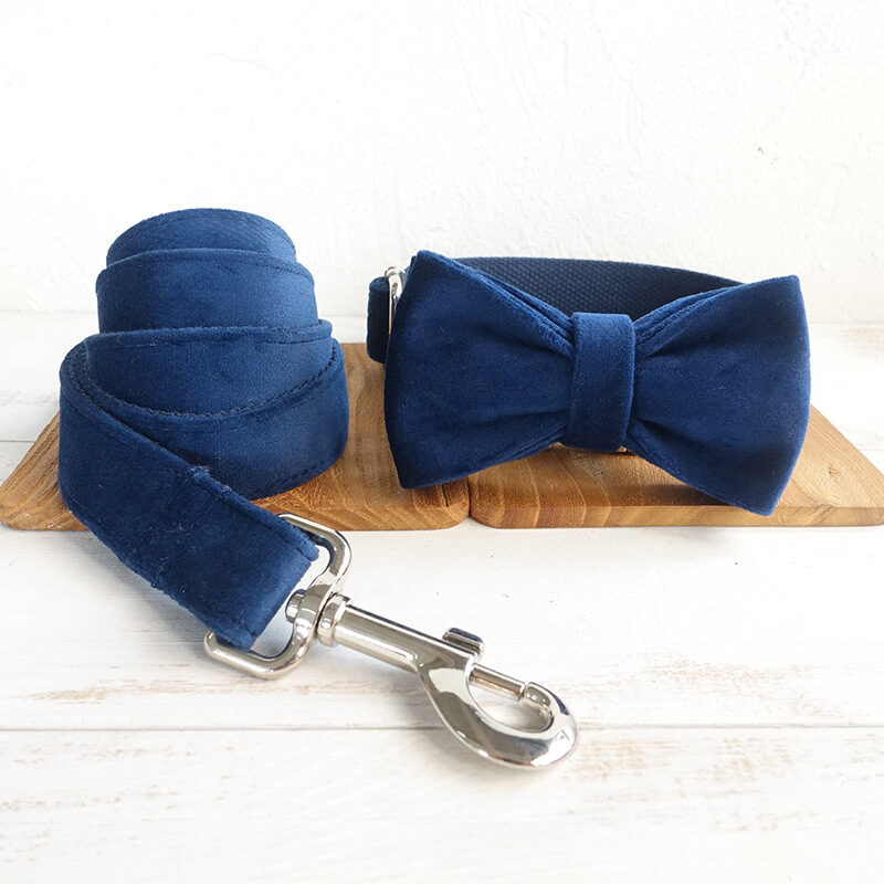 Bow pet collar large and small traction dog