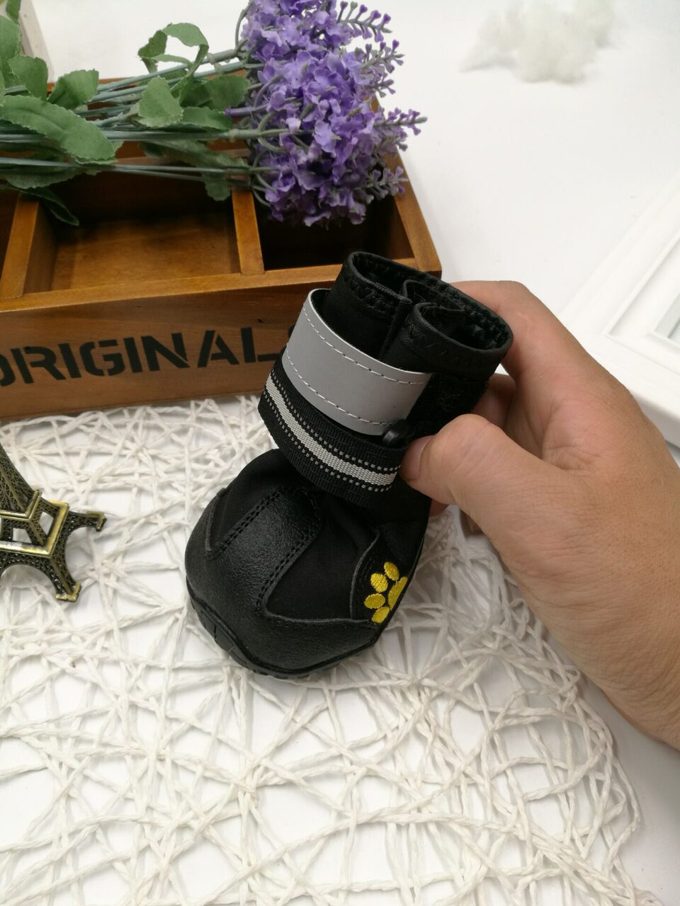 Pet shoes wear dog