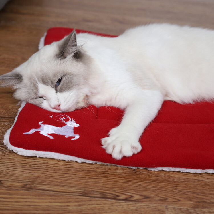 Christmas Pet Mat Super Soft Dog