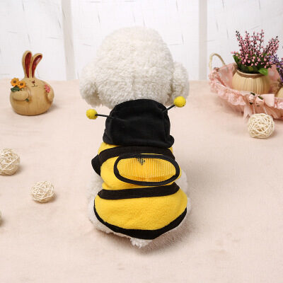 Clothes teddy dog