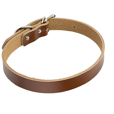 Leather dog collar chain