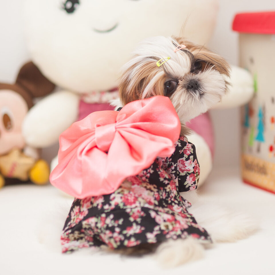 Pet dog kimono clothes spring and summer